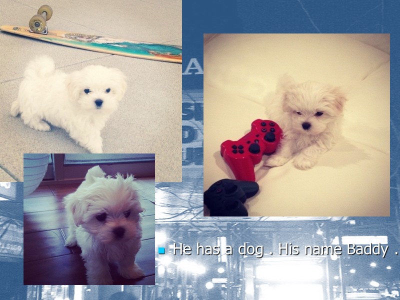 He has a dog . His name Baddy .